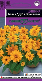 Цинния Белиз Даубл оранжевая, 5 шт. Эксклюзив
