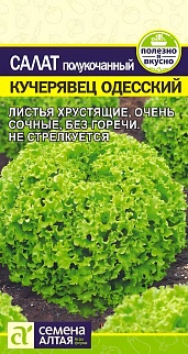 Салат Кучерявец Одесский, 0,5 г