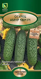 Огурец Амур 1801 F1, 10 шт.