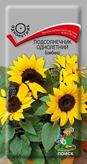 Подсолнечник однолетний Бамбино, 0,5 г