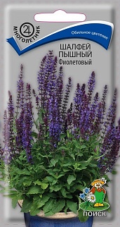 Шалфей Пышный фиолетовый, 0,1 г