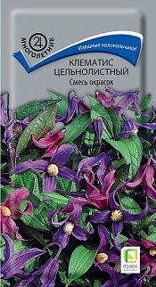Клематис цельнолистный смесь окрасок, 0,2 г