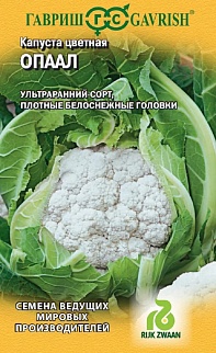 Капуста цветная Опаал, 10 шт. Голландия.