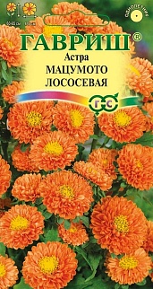 Астра Мацумото лососевая, однолетняя 0,3 г