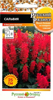 Сальвия Русский Размер, 20 шт. Русский огород