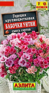 Годеция крупноцветковая Бабочки Уитни, смесь сортов, 0,05 г