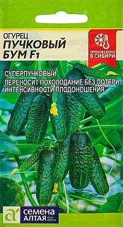 Огурец Пучковый Бум F1, 5 шт. 