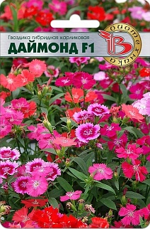Гвоздика гибридная карликовая Даймонд F1, 8 шт. Биотехника