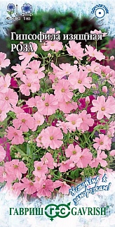 Гипсофила изящная, Роза, 0,1 г. Устойчив к заморозкам.
