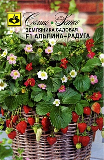 Земляника Альпина Радуга F1, 10 шт.