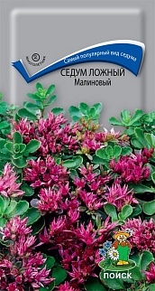 Седум ложный Малиновый, 0,01 г