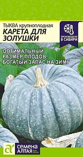 Тыква Карета для Золушки, 2 г