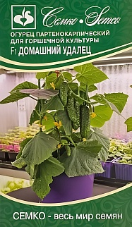 Огурец  Домашний Удалец  F1, 5 шт. 