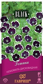 Немофила дисковидная Готика, 0,2 г. Black.