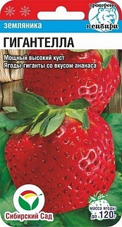 Клубника Гигантелла, 10 шт. Сибирский сад