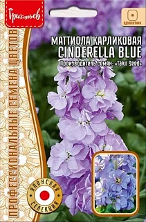 Маттиола Cinderella Blue (Золушка синий) карликовая махровая, 5 шт.