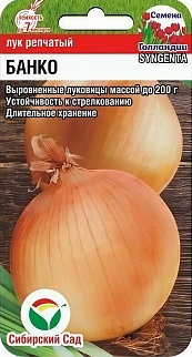 Лук репчатый Банко F1, 200 шт. Сибирский сад