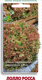 Салат Лолло Росса, 1 г
