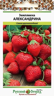Земляника Александрина, 0,05 г Русский огород
