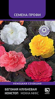 Бегония клубневая Нонстоп Мокка Микс, 10 шт. Семена профи