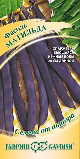 Фасоль Матильда, 5 г. Авторские семена.