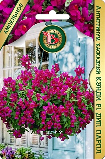 Антирринум каскадный Кэнди Дип Парпл F1, 5 шт. Ампельное Биотехника