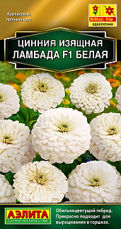 Цинния изящная Ламбада F1, белая, 12 шт.