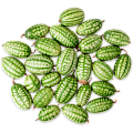 Мелотрия