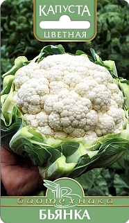 Капуста цветная Бьянка, 0,5 г. Биотехника.