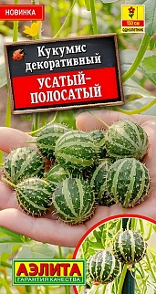 Кукумис декоративный Усатый-полосатый, 5 шт.