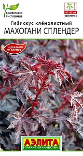 Гибискус Махогани сплендер, 3 шт