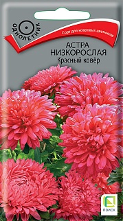 Астра низкорослая Красный ковёр, 0,2 г