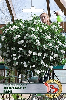 Импатиенс ампельный Акробат F1 Вайт, 8 шт. Биотехника