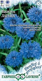 Василек Лагуна, 0,2 г. Устойчив к заморозкам.