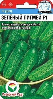 Огурец Зеленый пигмей F1, 7 шт. Сибирский сад