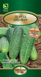 Огурец Отело F1, 12 шт. Лидеры мировой селекции