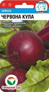 Свекла Червона Кула, 2 г. Сибирский сад