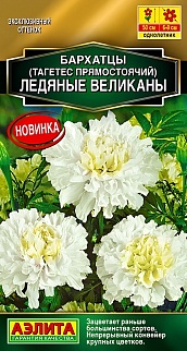 Бархатцы Ледяные великаны прямостоячие, 7 шт.