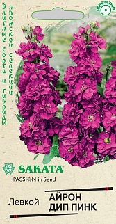 Левкой Айрон дип пинк, 5 шт. Саката.