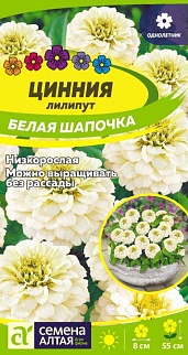Цинния лилипут Белая Шапочка, 0,2 г