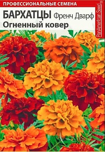 Бархатцы Френч Дварф Огненный ковер, 8 шт. Профессиональные семена