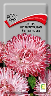 Астра низкорослая Контрастер Ред, 0,2 г