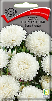 Астра низкорослая Белый ковёр, 0,2 г