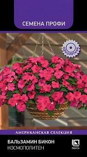 Бальзамин Бикон Космополитен, 7 шт. Семена Профи.