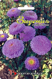 Астра китайская Зидония лайт блю, 50 шт. Биотехника