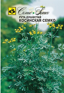 Рута Косинская, 1 г. Семко.