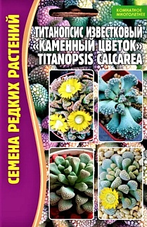 Титанопсис известковый "Каменный цветок" 3 шт.