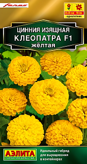 Цинния изящная Клеопатра F1, желтая, 12 шт.