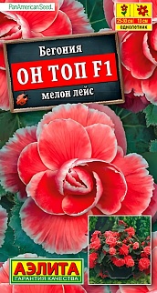 Бегония Он Топ F1 мелон лейс, 5 шт.