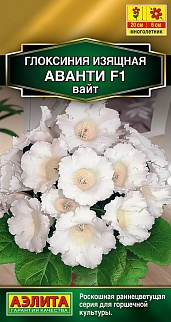 Глоксиния Аванти F1 вайт, 5 шт.